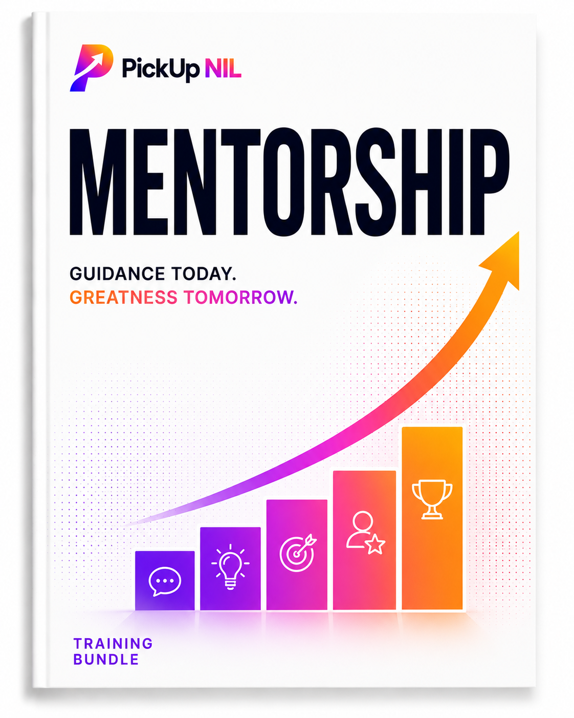 The Mentorship Program